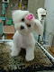 DSCF5674[1]_thumb.png